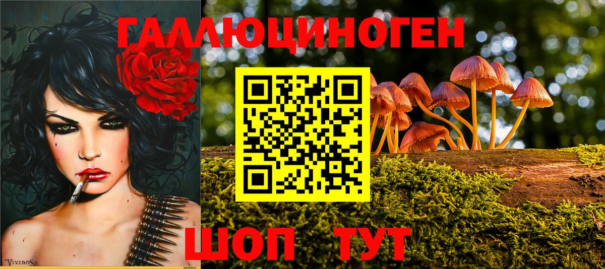 Галлюциногенные грибы Cubensis Ирбит